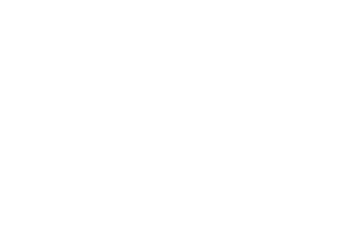 SK Javornik Timing